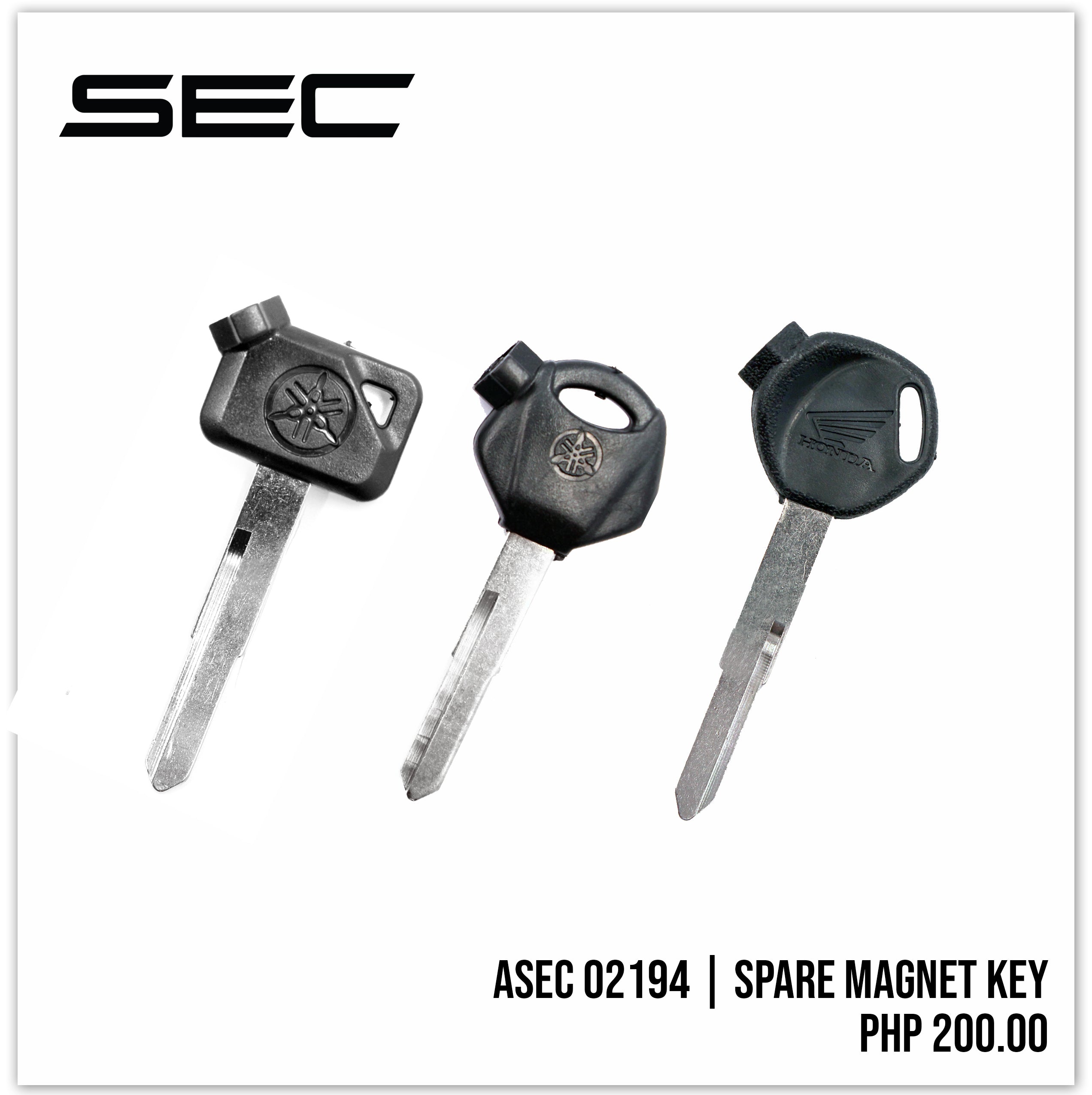 Spare Magnet Key