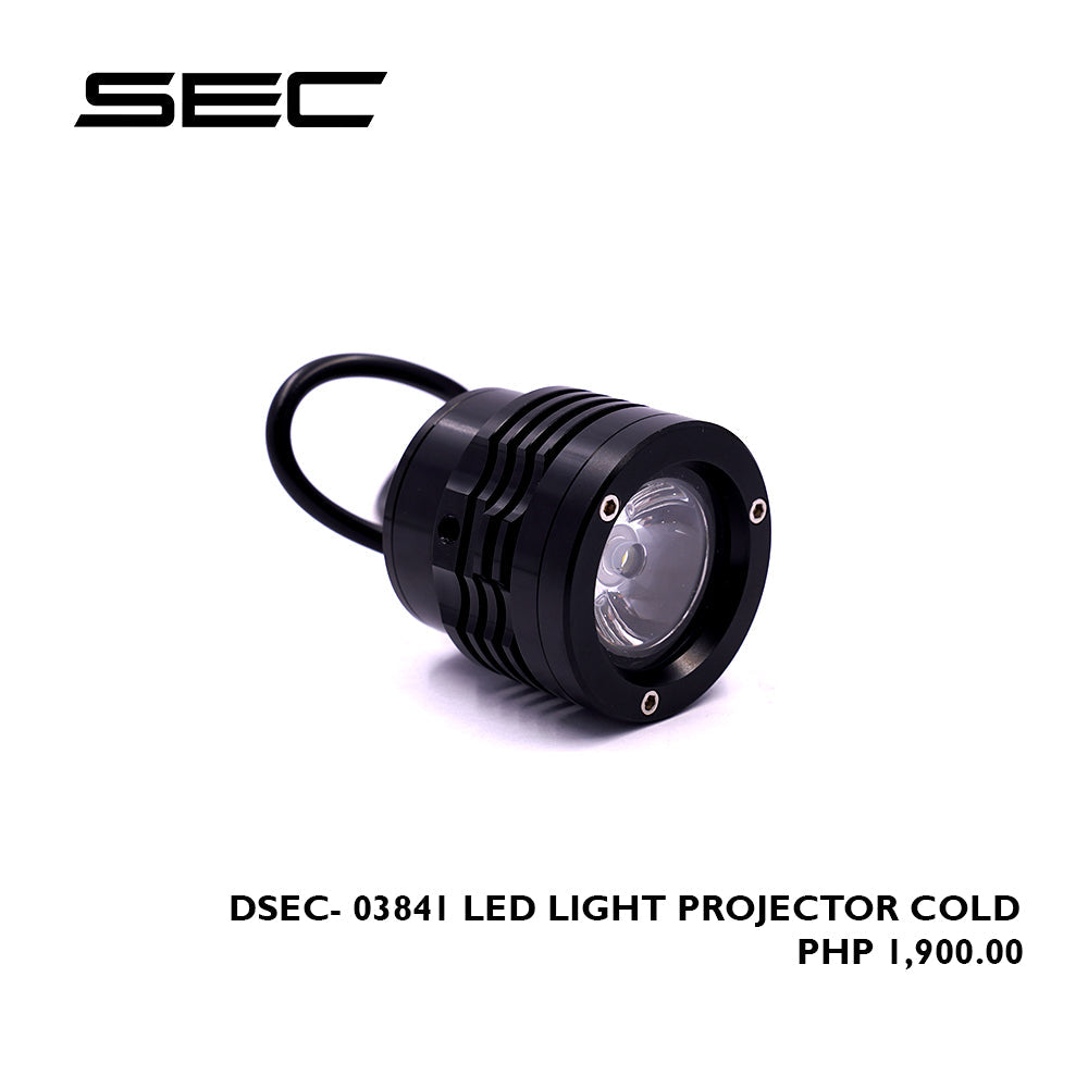LED Light Projector Cold
